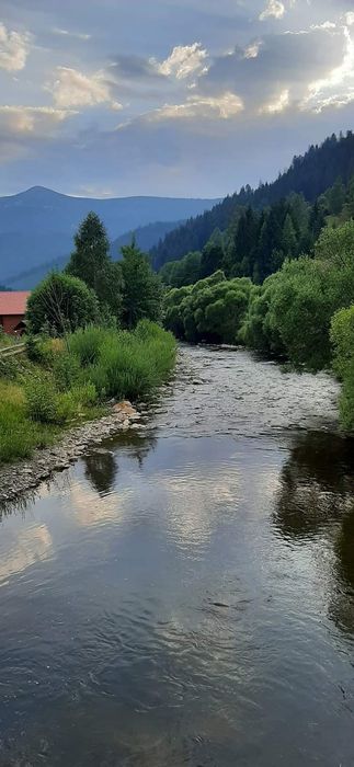 Здається котедж на три окремі номери