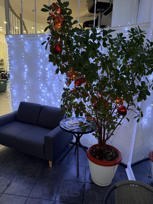 Оренда перукарського крісла