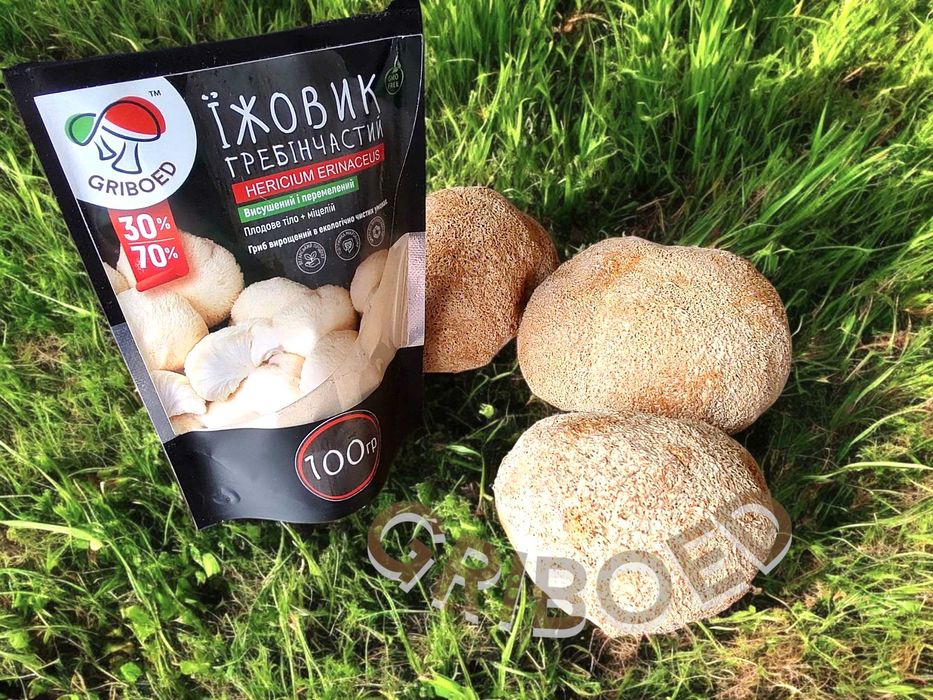 Ежевик гребенчатый (плоды + мицелий) сухой и перемолотый - 100 грамм!
