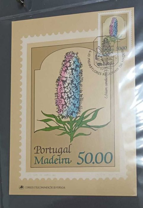 Postais Maximos - Portugal Flores da Madeira