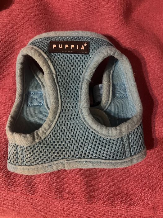 Мʼяка шлея для собак малих порід Puppia, розмір XS