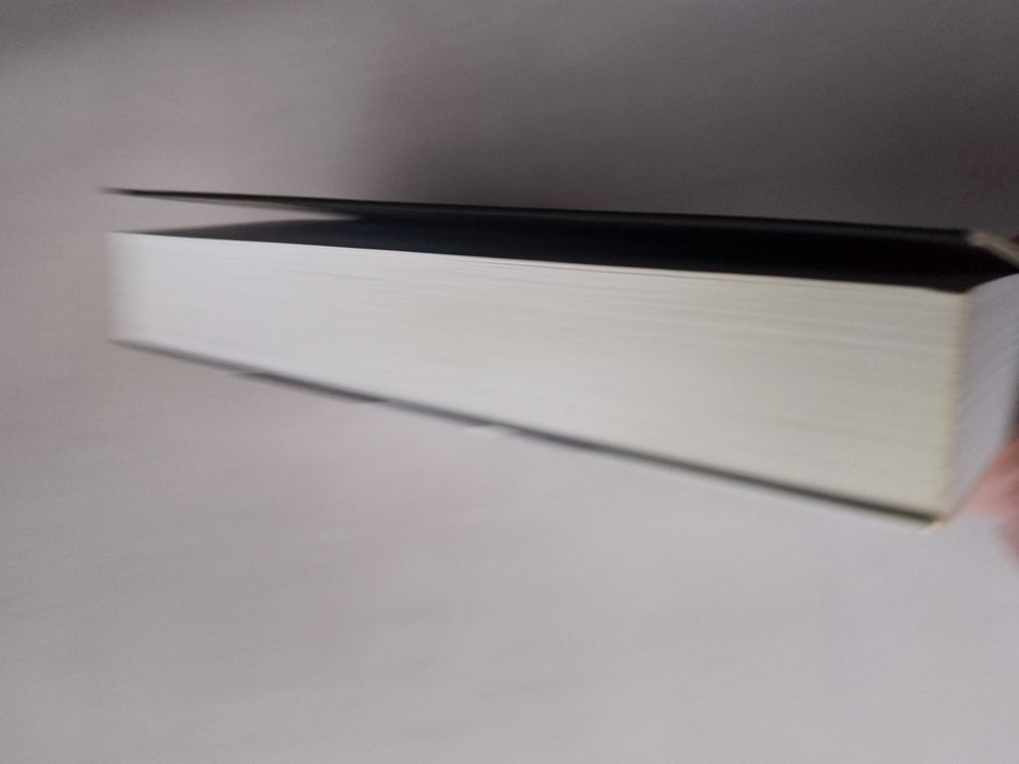 M. Sakey "Na krańcach miasta" 2010