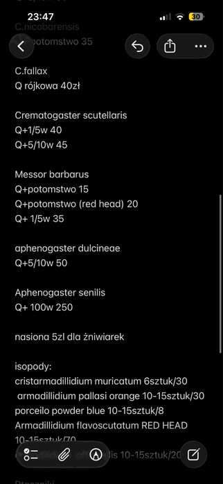 mrówki/isopody/ptaszniki