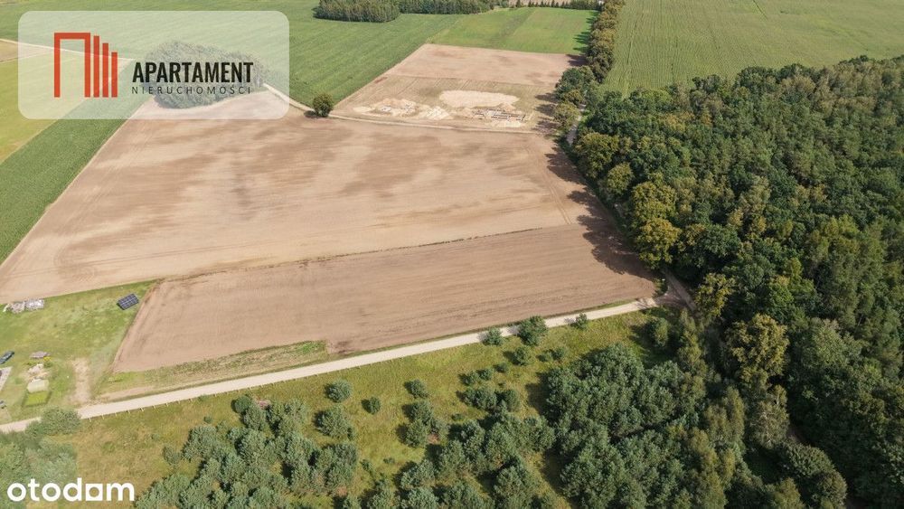 Działki z WZ – Grabowiec k. Iławy - Widok 3