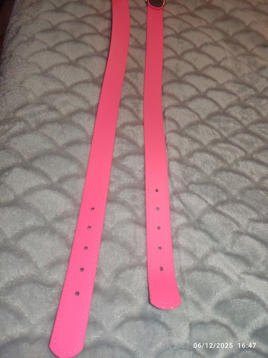 Coleiras rosa choque