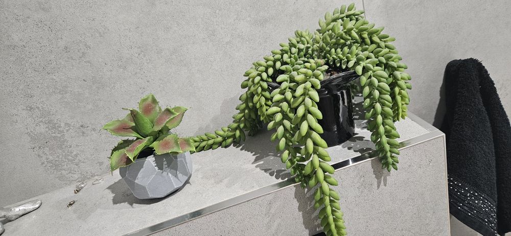 Sztuczne rosliny  dom