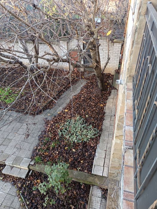 Сдам дом в первом Совиньоне, двухэтажный, с ремонтом!