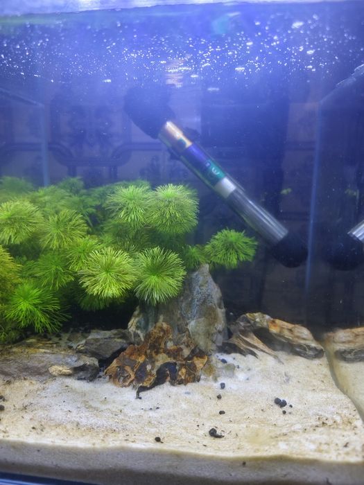 Aquários e vários materiais