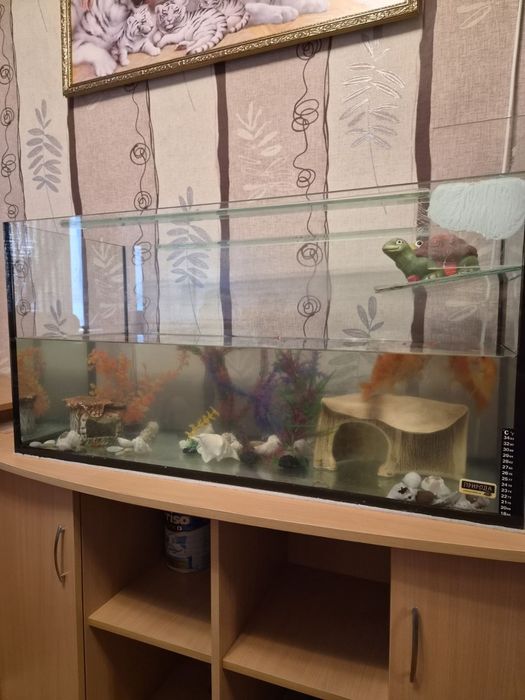 Продам Акваріум  тм Природа 200л ,фільтр Fluval 206  обігрівач aquael та помпа