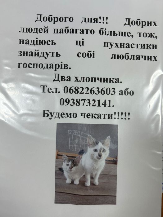 Віддам у добрі руки