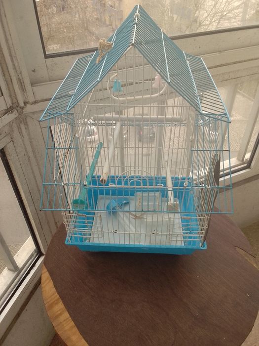 Gaiola Azul para Pássaros