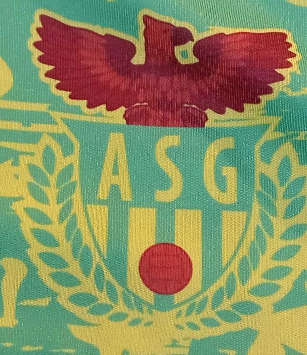 camisola Aguias Sport de Gaia tamanho 4XL