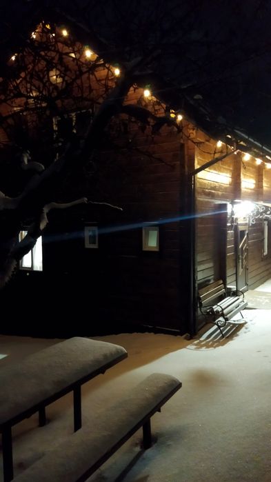 Відпочинок в Славську. Котедж над річкою