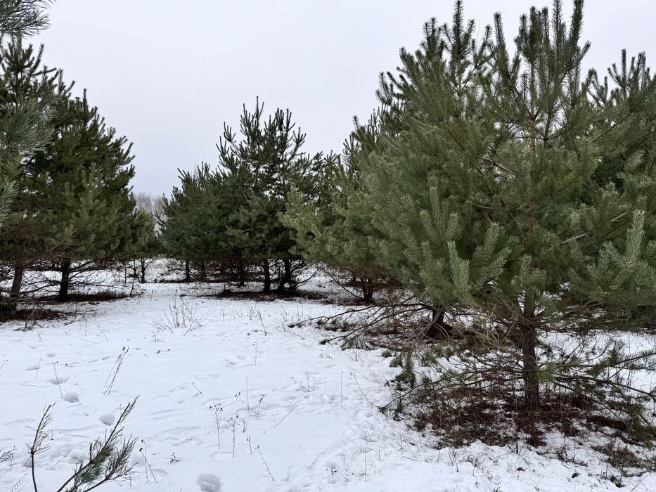 PILNIE sprzedam! Działka budowlana 1000m2