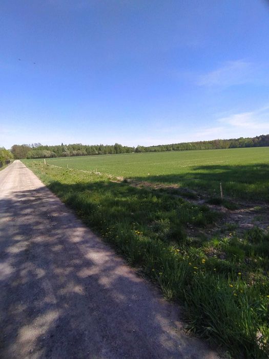 3,616 ha – Lubowidza – przy lesie! Świetna inwestycja! podział możliwy
