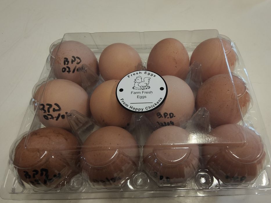 Ovos galados de Brahma Perdiz Dourado