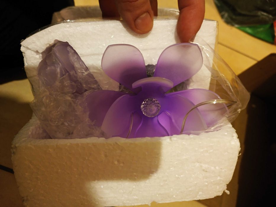 Solar-Ogrod,,kwiat lotosu