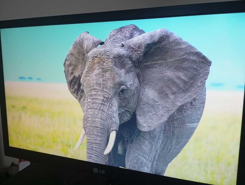 Монітор lg 21,5" led vga 22m37a