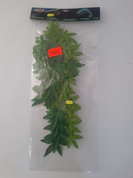 Roślina do terrarium trixi
