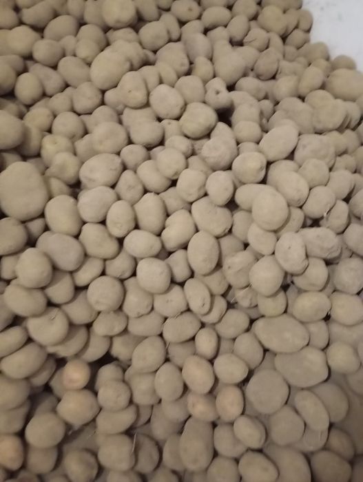 Продам картоплю велиека можлива доставкаа