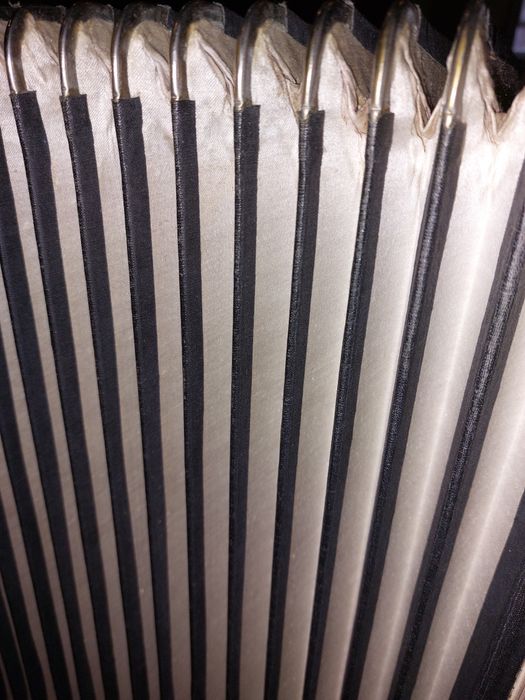 Баян       Полісся