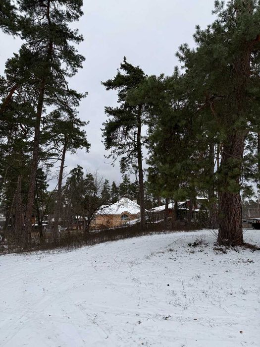 Продаж земельної ділянки в престижному районі Соснівка