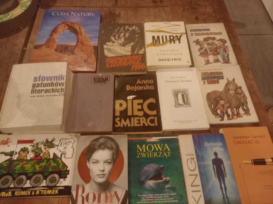 Książki używane w różnym stanie