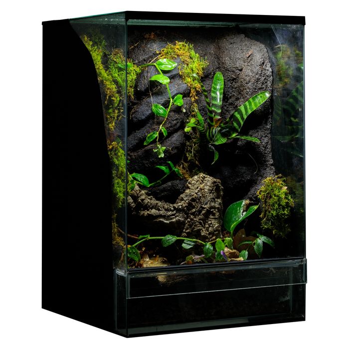 Terrarium tropikalne gekon 40x40x60