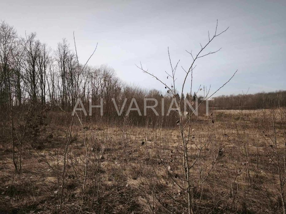 Продається земельна ділянка з озером, с. Середнє Код: 43424