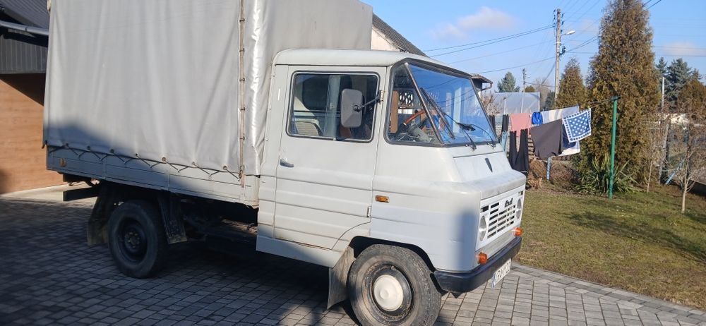 Sprzedam ładnego żuka