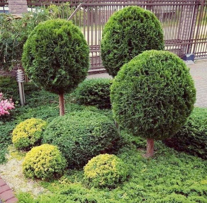 Весняний догляд за газоном та садом – скарифікація,підживлення,стрижка