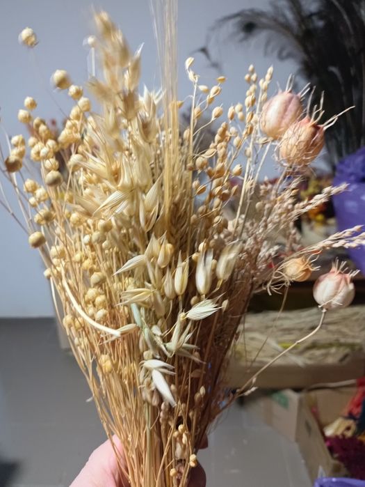 len zboże w kłosach ziarna dla chomików gryzoni ptaków