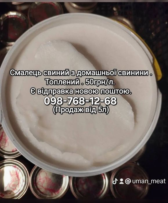 Продам з домашніх свиней жир(смалець).