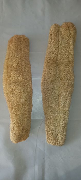 ESPONJAS Naturais do Mar Egeu