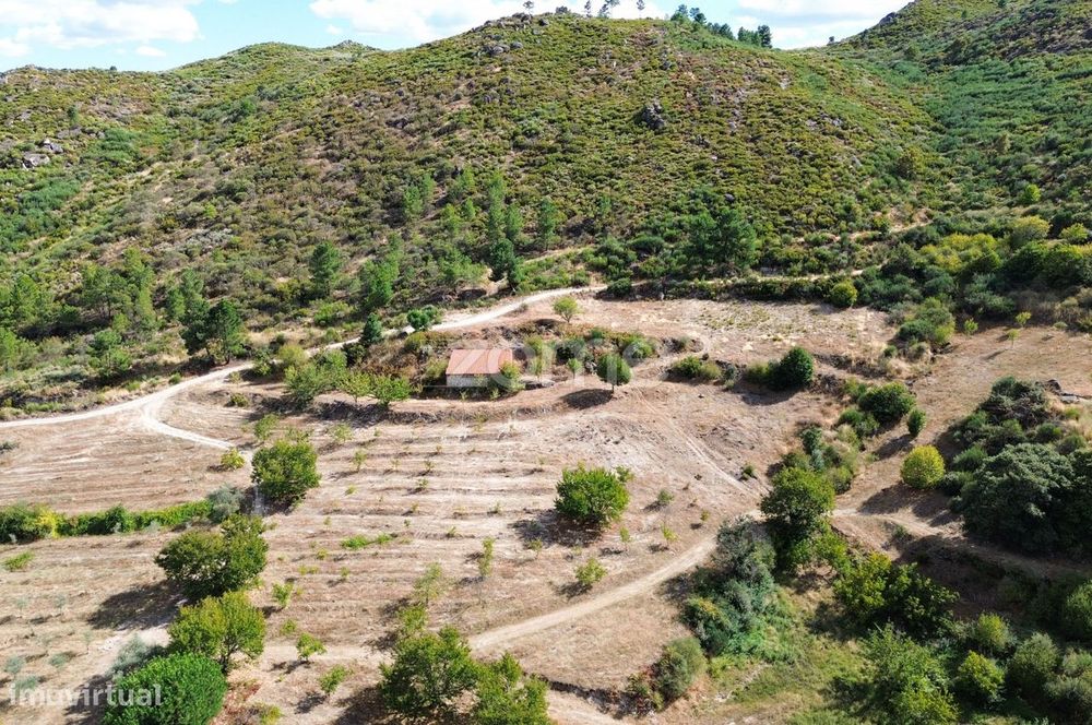 Terreno com 6 hectares