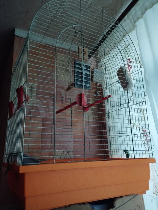 Продам клітку разом із кормом