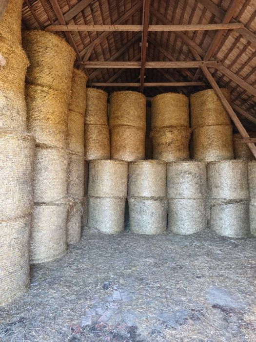 Słoma siano sianokiszonka kukurydza w belach szybka dostawa