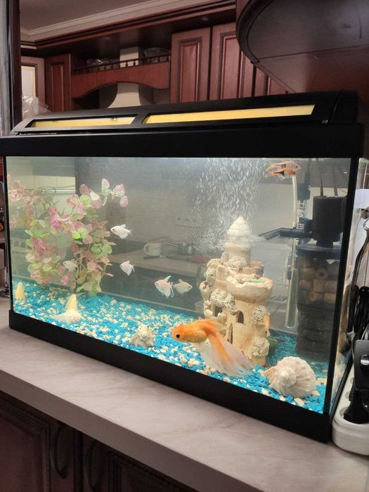 Аквариум 60л,Италия. Крышка, свет, фильтр, обогрев, рыбы Всё в Подарок