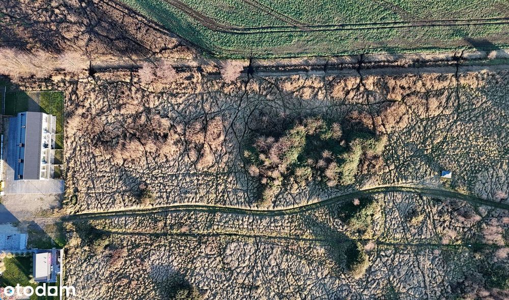 Działka Budowlana 1489 M² | Mpzp | 1,5 Km Od Plaży Dziwnówek | Morze ! - Widok 5