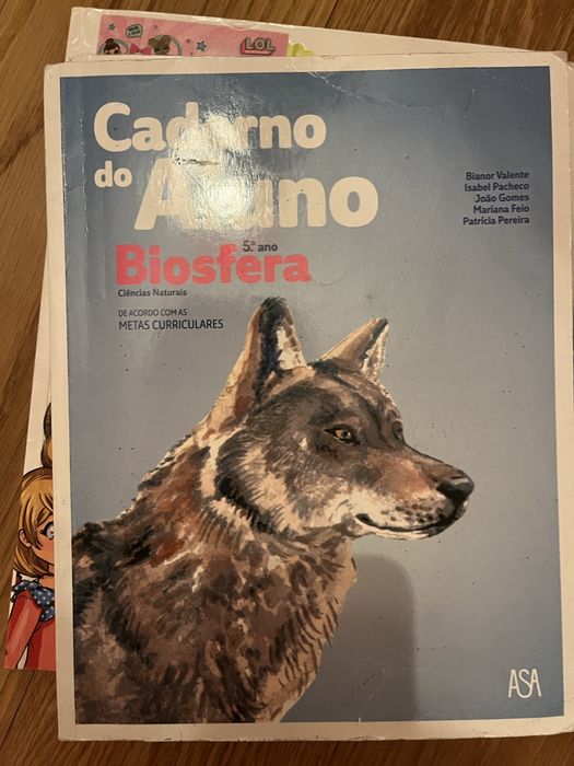 Livros de fichas em bom estado