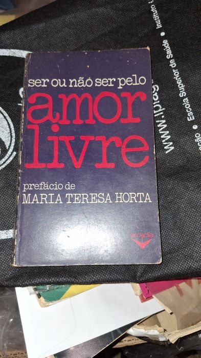 Maria Teresa Horta amor livre