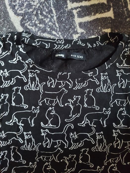 Sinsay T-shirt koszulka koty kotki