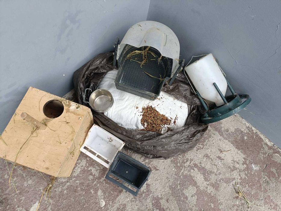 zestaw startowy dla papug zobacz