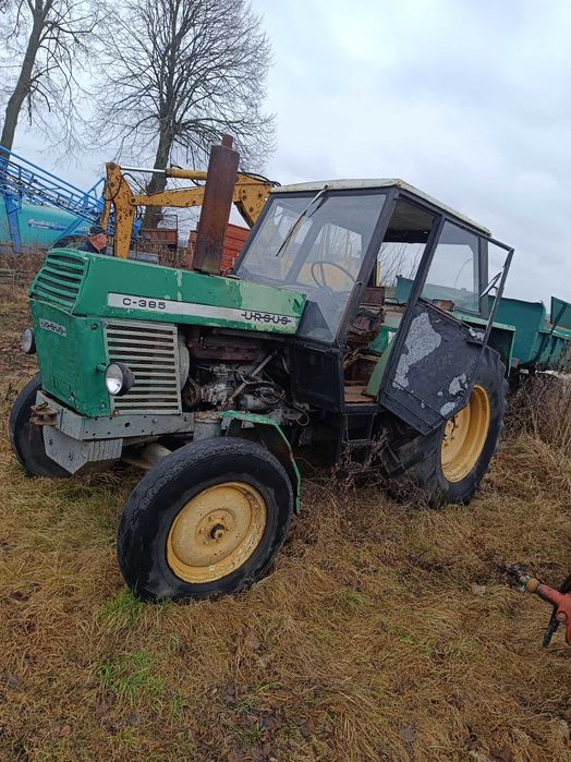 Ciągnik rolniczy Ursus C-385