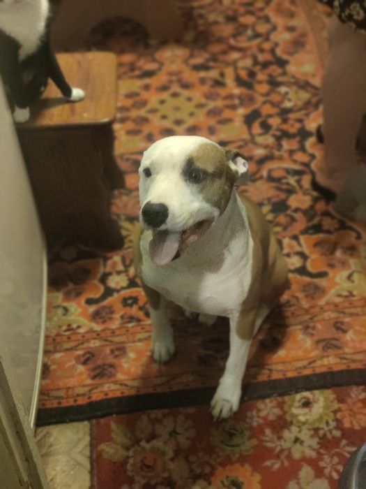 Вязка для здоровья