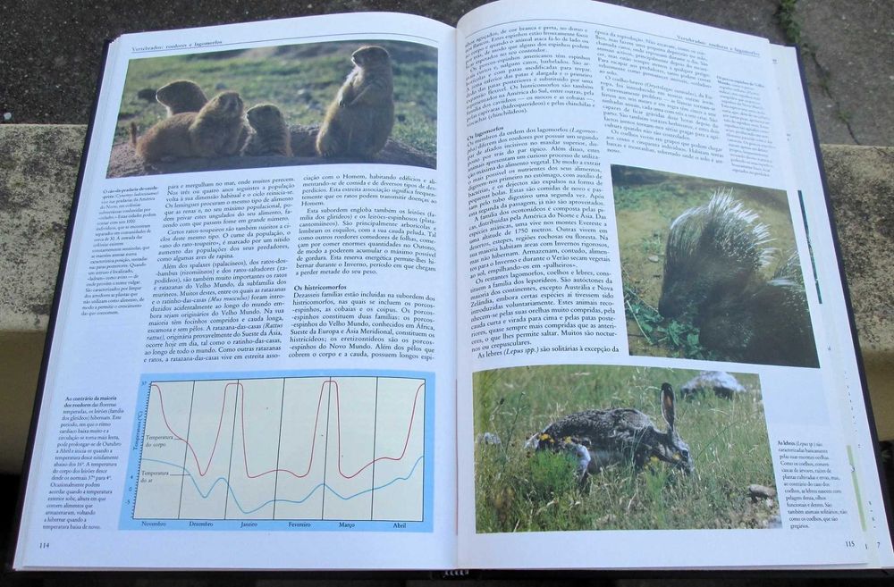 Encyclopedia of Knowledge: Science and Technology, Animals64738807276803123