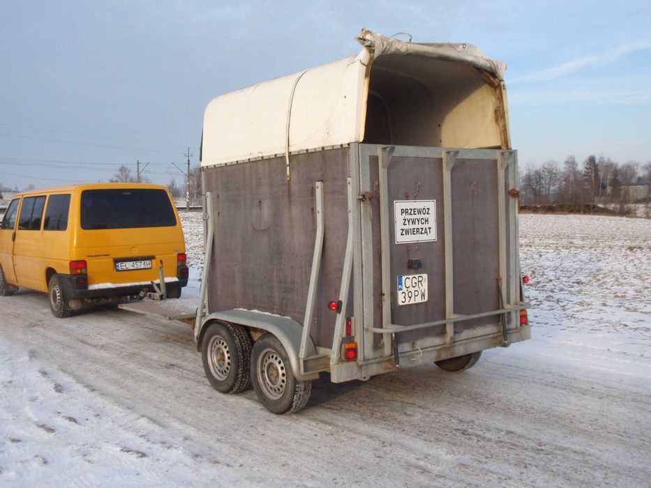 Wypożyczę wynajmę przyczepę przewóz zwierząt koni bydła trzody bryczka