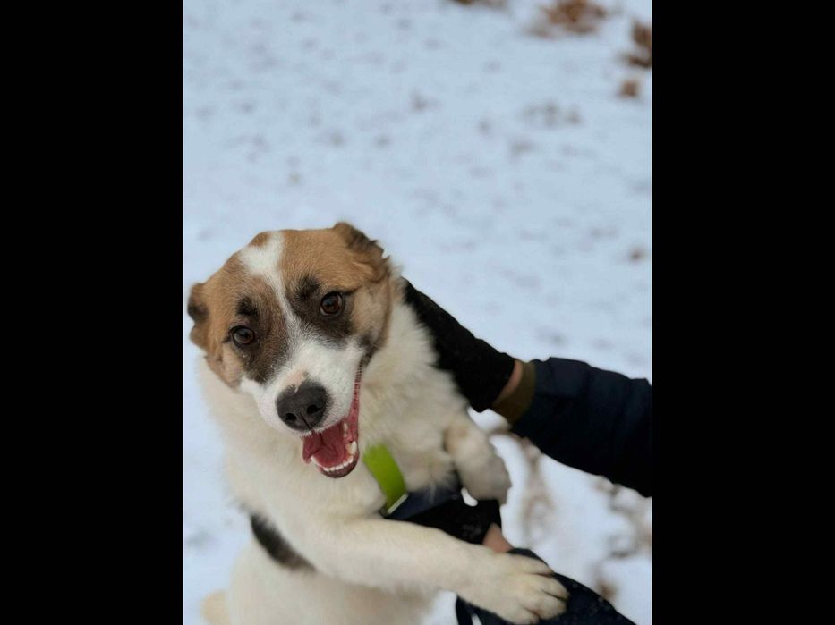 Młodziutki,malutki ,cudowny,tak długo czeka.