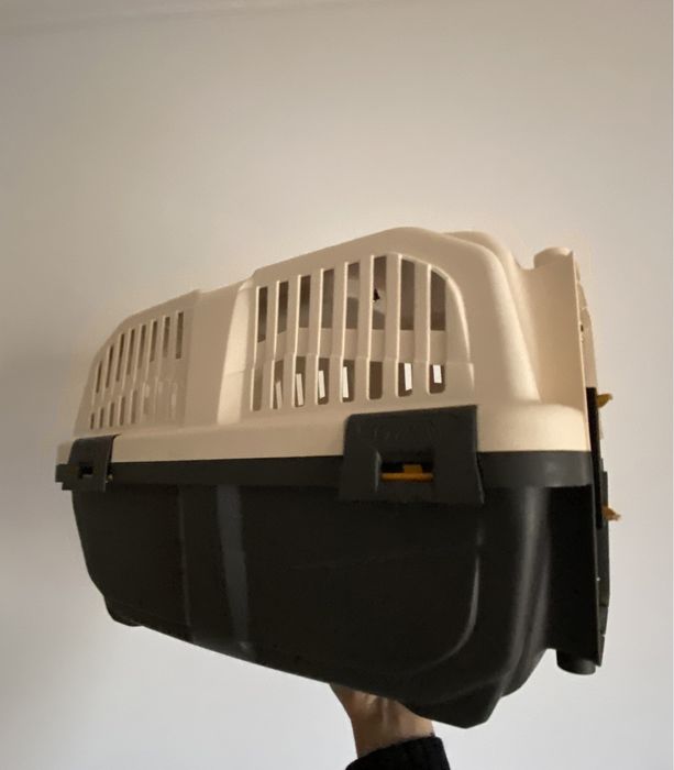 Transportadora de animais de porte pequeno
