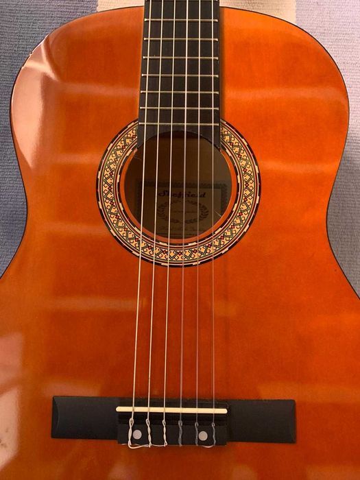 Guitarra Sheffield c\ extras